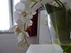 Bed & Breakfast Charmerooms Villa Moroni