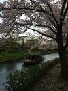 Agroturismo Suzume-an