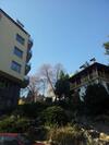 Hostal Sandanski Peak Guest Rooms