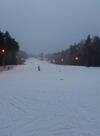 Le?na Odnowa