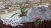 Bed & Breakfast Casa Esqu�vel