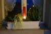 Hostal Gasthof L�wen