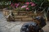 Hostal Guest House Elena