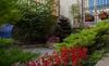 Hostal Guest House Elena