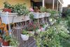 Hostal Guesthouse Mechta