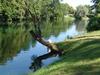Big Berry Luxury Lifestyle Resort