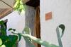 Hotel Balcones De Piedad
