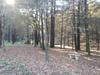 Apartamento Holiday Home Ribadelouro