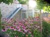 B&B Greenhouse 37