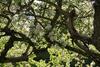 Bed & Breakfast Vemmetofte Pr�steg�rd