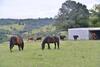 Lodge Cooroy Country Cottages