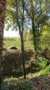 Holiday Home Chemin Des Vignerons