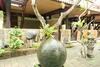 Hotel Kerti Beach Bungalow And Restaurant