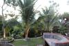 Hotel De Bintan Villa
