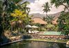 Hotel Desa Saya Eco Luxury Resort & Spa