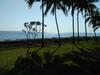 Hostal The Amrita - Salt Farm Villas