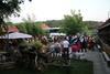Csipkeszeg Bed & Breakfast Sic / Sz�k Romania