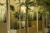 Radisson Plaza Hotel Minneapolis