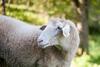 Agroturismo Farm Stay Kramer