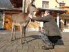 Agroturismo Farm Stay Peternelj