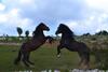 Agroturismo Farm Stay Peternelj