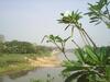 Ban Rim Nam Riverside Resort