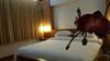 Dusit Hotel