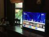 Hostal Sonic Hill Resort