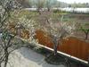 Agroturismo Pid Zelyonym Dakhom Country House