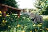Lodge House Girska Rika