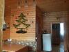 Hostal U Katrusi