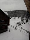 Hostal Wooddream