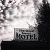 Sherwood Forest Motel
