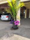 Motel Southern Comfort Suites