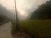 Thai An Homestay At Ba Be