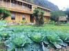 Hostal Ham Rong Homestay