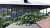 Hostal Guest House Zelenyi Dvorik