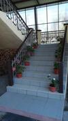 Hostal Guest House Mimoza