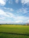 Bed & Breakfast Sunny Homestay