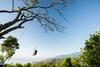 Bed & Breakfast Juhu Farmstay