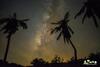 Bed & Breakfast Juhu Farmstay