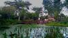 Amrita Green Retreat