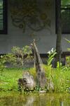 Amrita Green Retreat