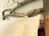 Bed & Breakfast Il Piccolo Polpo Hotel