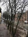 Apartment In The City Center
