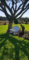 Hostal Forest Hill Country Lodge
