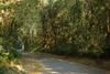 Mount Sheba Rainforest Hotel & Resort