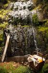 Mount Sheba Rainforest Hotel & Resort