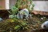 Hostal Floral Hotel � Homy Home Dujiangyan