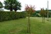 Villa Le Dours, 32260 Orn�zan, France
